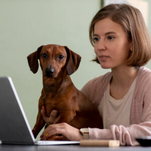 Animal Welfare Assessment & Advocacy in Professional Contexts