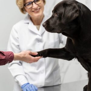 Fear Free & Low-Stress Handling Methodology