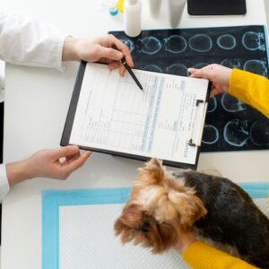 Patient Observation & Clinical Monitoring Foundations