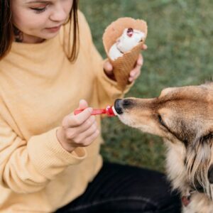 Exotic & Small Mammal Care Essentials