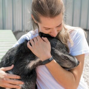 Shelter Animal Behavioral Assessment